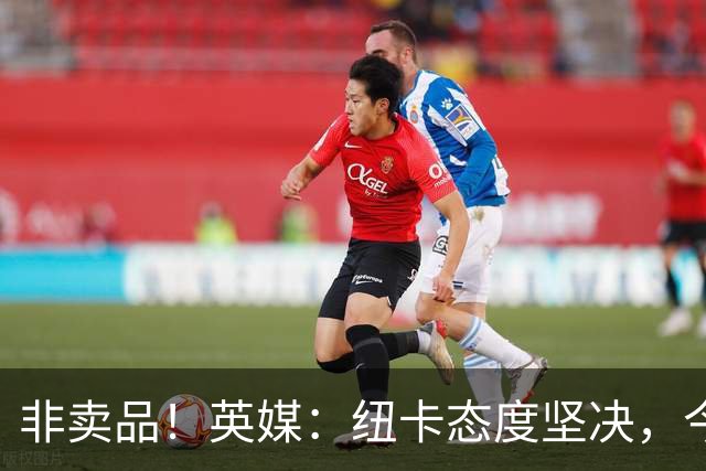 非卖品！英媒：纽卡态度坚决，今夏绝不允许霍尔离队